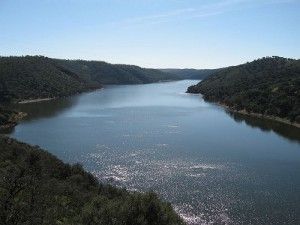 Birding in Extremadura