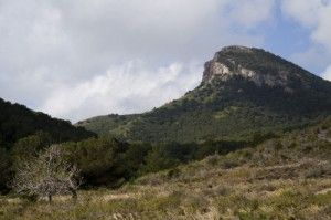 Bosques de Murcia, indicadores del cambio climático