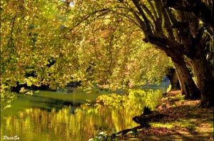 El Parque Fluvial de Pamplona