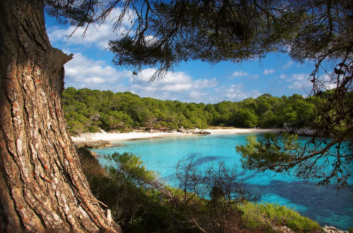 Cala Turqueta