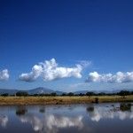 La Guía de visita al Parque Nacional de Cabañeros
