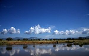 La Guía de visita al Parque Nacional de Cabañeros