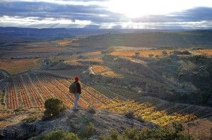 España a través del vino (I): Norte