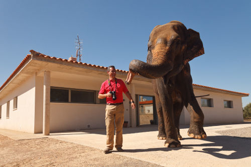 Casa rural RuralSuite Tudela