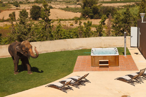 RuralSuite Tudela Resort