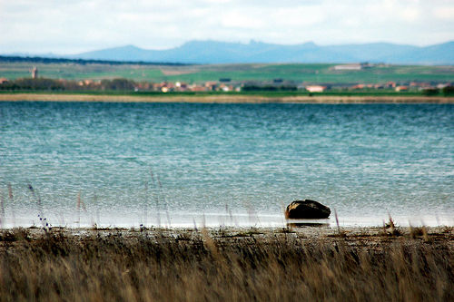 Laguna de Gallocanta