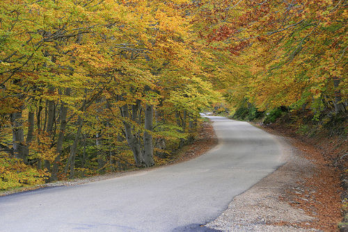 Parque Natural de la Dehesa de Moncayo