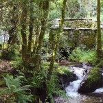 De ruta por la arquitectura del agua