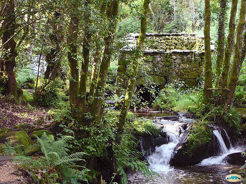 Río armenteira y muiños Meis