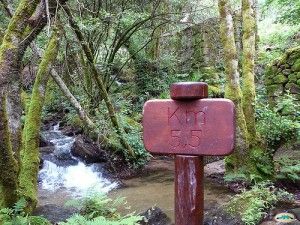 De ruta por la arquitectura del agua