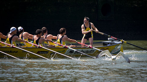 Regata de traineras