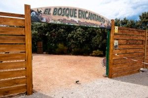 Eduardo Manostijeras está en Madrid