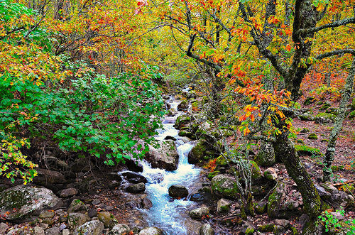 Valle del Jerte en otoño turismo rural