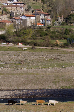 Casas de Velilla La Rioja