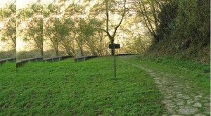 Lugares donde podría tocar la lotería