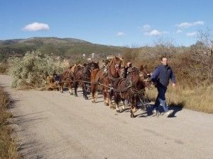 El Sant Antoni de Les Coves de Vinromà