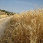 8 grandes rutas por España