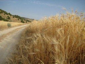 8 grandes rutas por España
