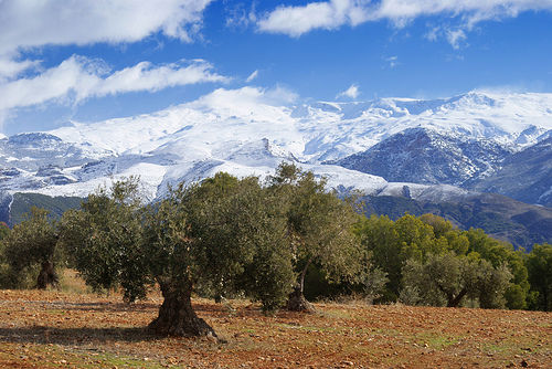 Turismo rural en Sierra Nevada