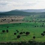 Casas rurales en el Parque Nacional de Cabañeros