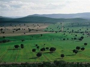 Casas rurales en el Parque Nacional de Cabañeros