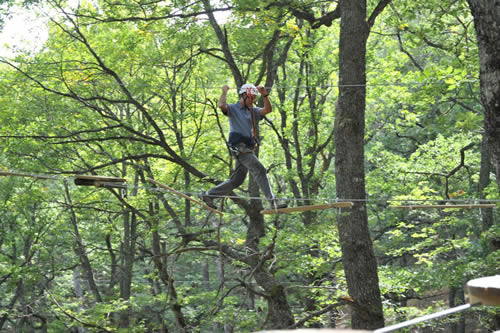 Un deportista disfruta de una actividad en un bosque castellano y leonés. /PATRIMONIO NATURAL