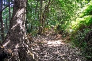 5 cuevas prehistóricas de Cantabria sin pasar por Altamira