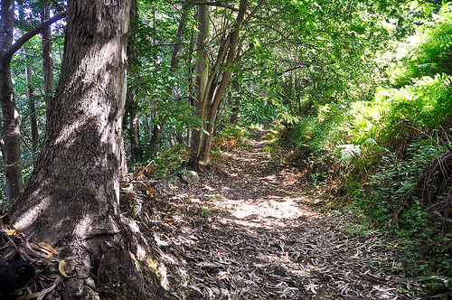 Camino a las cuevas rupestres de Cantabria