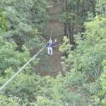 Bosques de Aventura de Castilla y León
