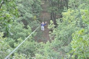 Bosques de Aventura de Castilla y León