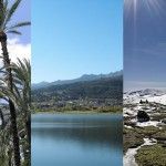 Favoritos de la semana