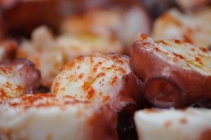 Camiño dos Sabores de Galicia