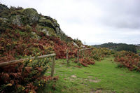 Chandebrito