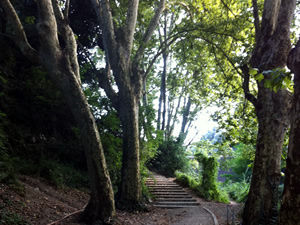 Actividades gratuitas en el Día de los Parques Naturales