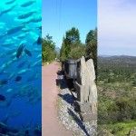Favoritos de la Semana