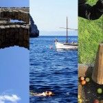 Favoritos de la Semana