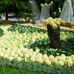 La Rioja: actividades en la Capital Gastronómica 2012