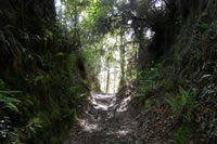 Sendero Os Mouros