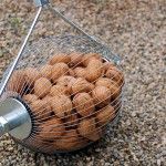 Cata de nueces en Ocón