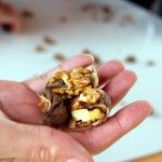 Cata de nueces en Ocón La Rioja