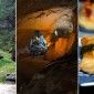 Favoritos de la Semana
