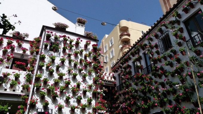 Patios de Córdoba