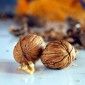 Nueve cosas que no sabías sobre las nueces