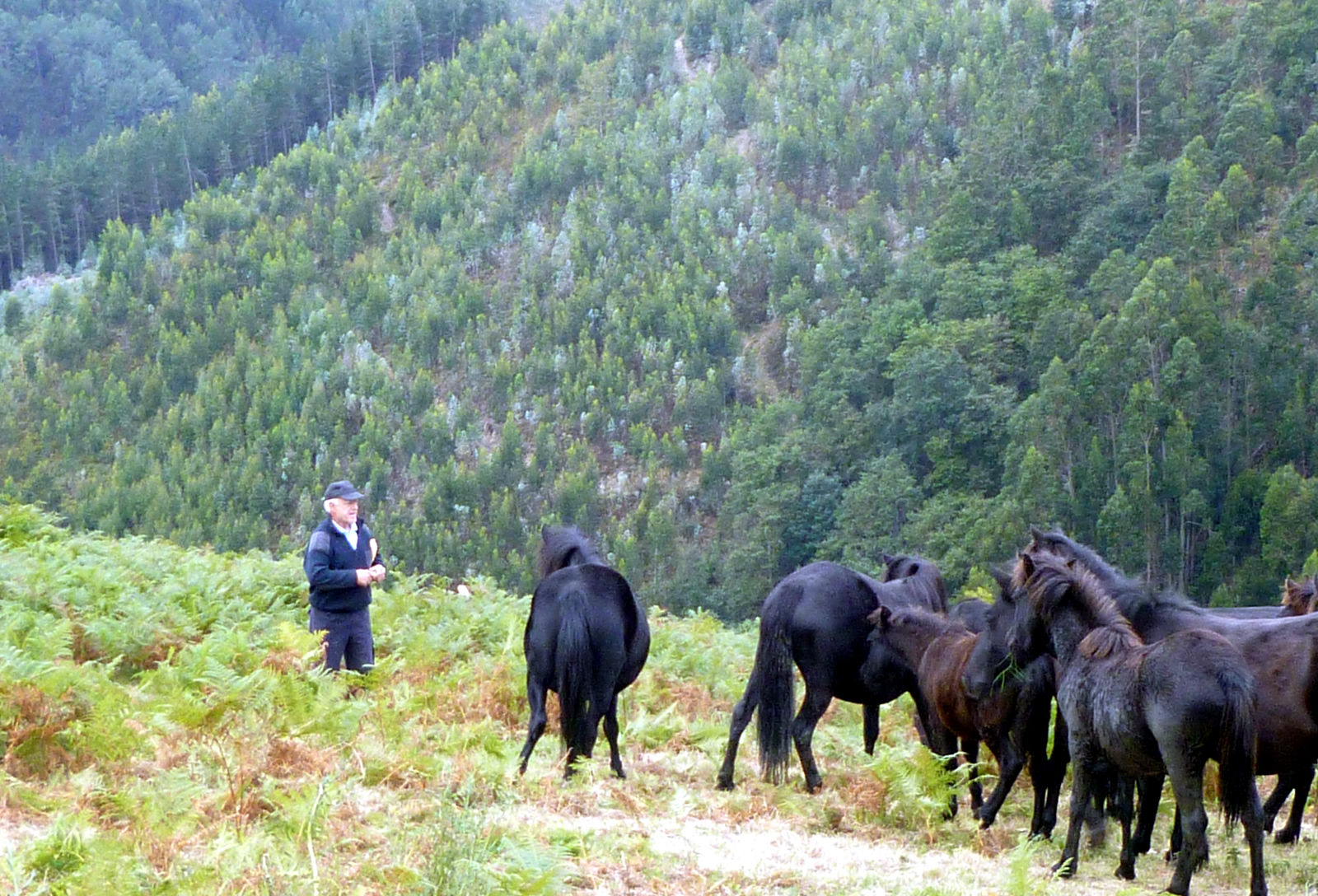 El Parque Natural de Pagoeta