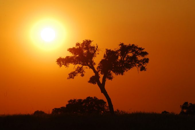 Mértola y el guadiana