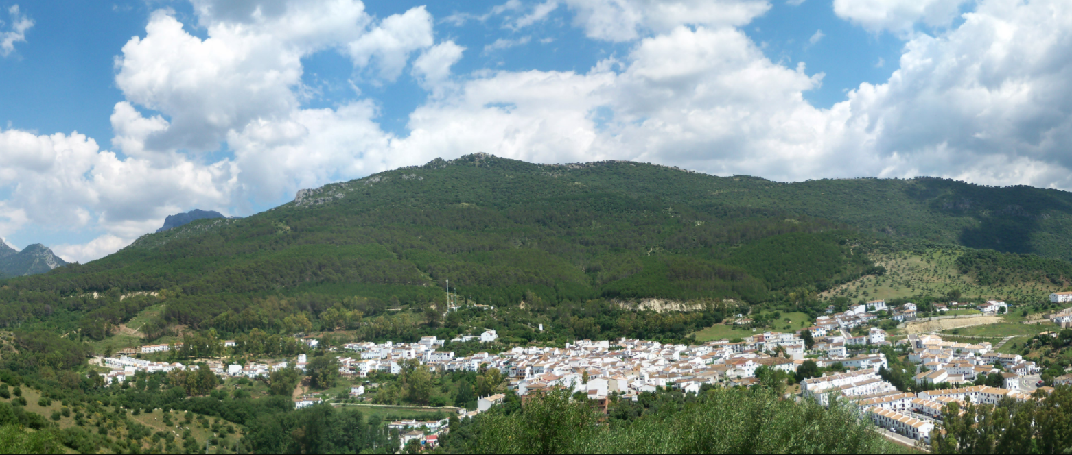 10 razones para visitar El Bosque, el municipio más buscado de Cádiz