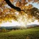 Naturaleza y tranquilidad