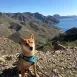 Trato excelente, lugar maravilloso y alojamiento muy bien equipado