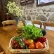 Verduras de la huerta en verano