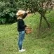 Inés